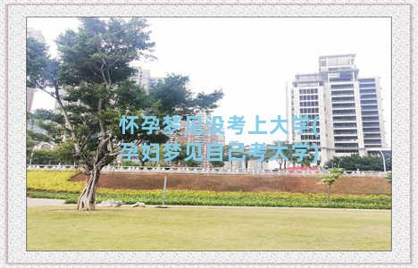 怀孕梦见没考上大学(孕妇梦见自己考大学)