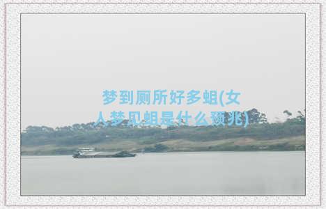 梦到厕所好多蛆(女人梦见蛆是什么预兆)