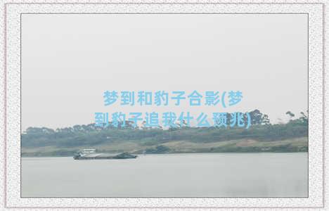 梦到和豹子合影(梦到豹子追我什么预兆)