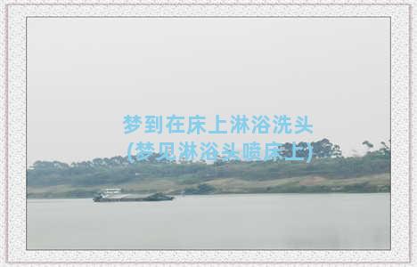 梦到在床上淋浴洗头(梦见淋浴头喷床上)