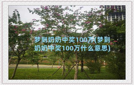 梦到奶奶中奖100万(梦到奶奶中奖100万什么意思)