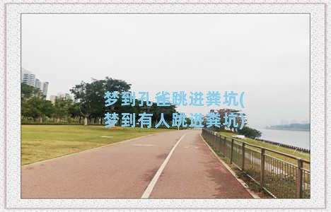 梦到孔雀跳进粪坑(梦到有人跳进粪坑)