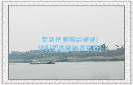 梦到把麦穗给婆婆(梦到把麦穗给婆婆看)