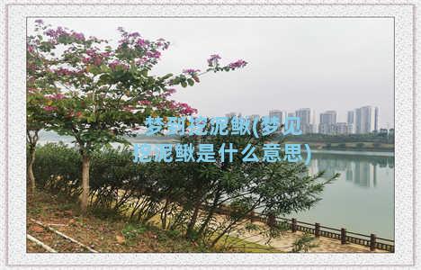 梦到挖泥鳅(梦见挖泥鳅是什么意思)