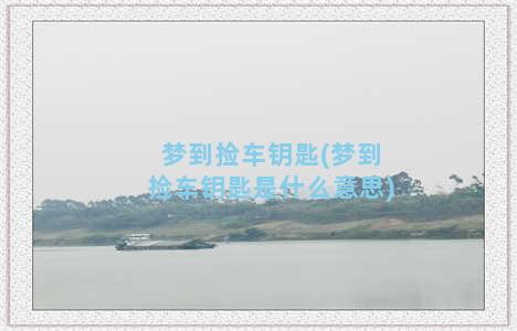 梦到捡车钥匙(梦到捡车钥匙是什么意思)