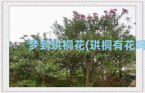 梦到珙桐花(珙桐有花吗)