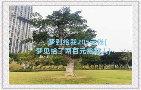 梦到给我205元钱(梦见给了两百元给别人)