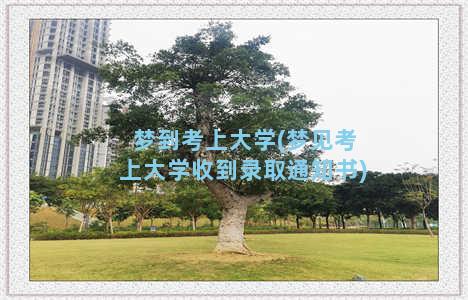 梦到考上大学(梦见考上大学收到录取通知书)