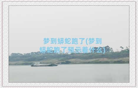 梦到蟒蛇跑了(梦到蟒蛇跑了预示着什么)