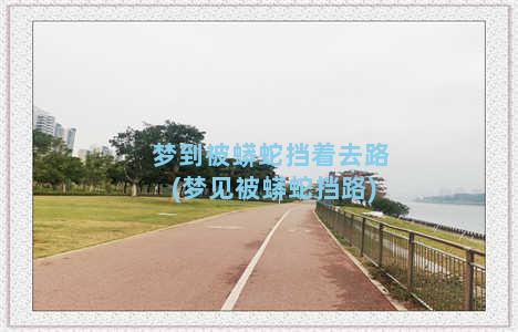 梦到被蟒蛇挡着去路(梦见被蟒蛇挡路)