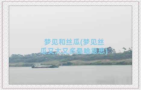 梦见和丝瓜(梦见丝瓜又大又多是啥意思)