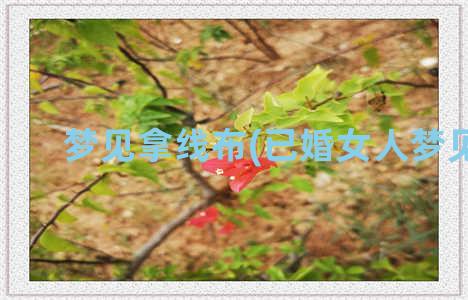 梦见拿线布(已婚女人梦见布)