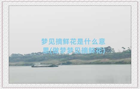 梦见摘鲜花是什么意思(做梦梦见摘鲜花)