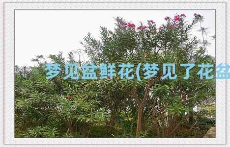 梦见盆鲜花(梦见了花盆)