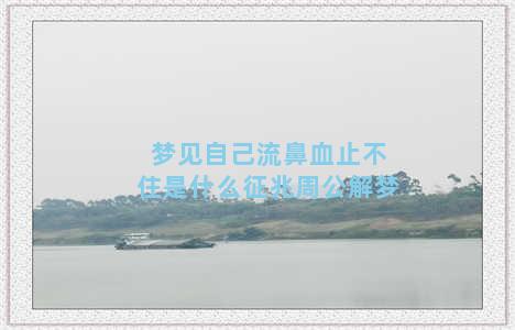 梦见自己流鼻血止不住是什么征兆周公解梦