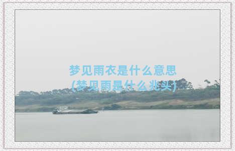 梦见雨衣是什么意思(梦见雨是什么兆头)